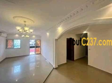 Appartement à louer à Bonapriso Douala