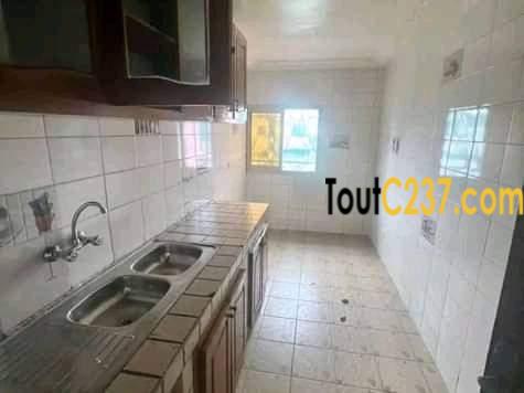 Appartement à louer à Bonapriso Douala