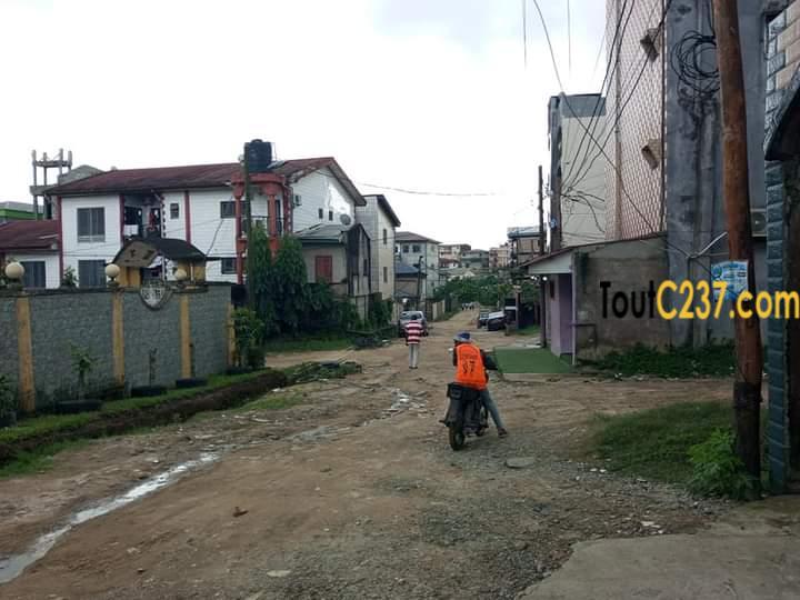 Terrain a vendre à Kotto Douala