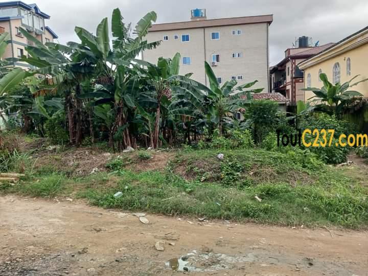 Terrain a vendre à Kotto Douala
