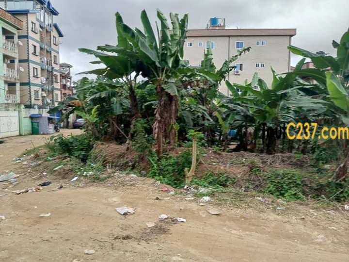 Terrain a vendre à Kotto Douala