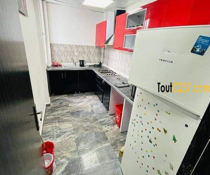 Appartement neuf à louer à Bonapriso