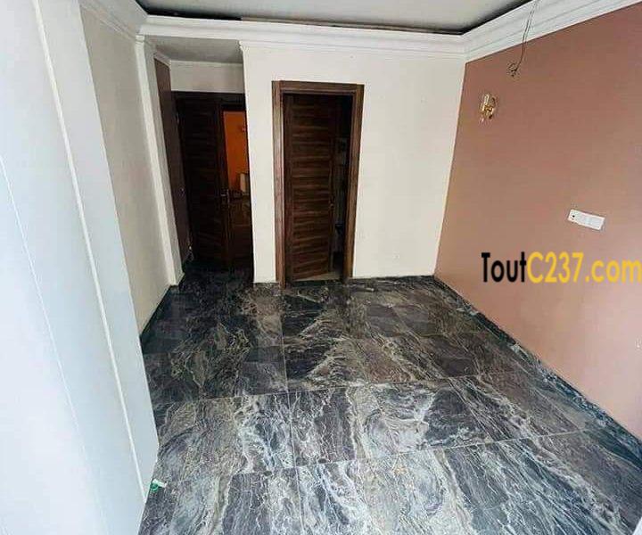 Appartement neuf à louer à Bonapriso