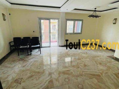 Appartement neuf à louer à Bonapriso