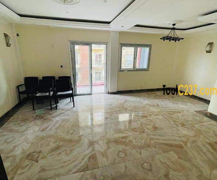 Appartement neuf à louer à Bonapriso