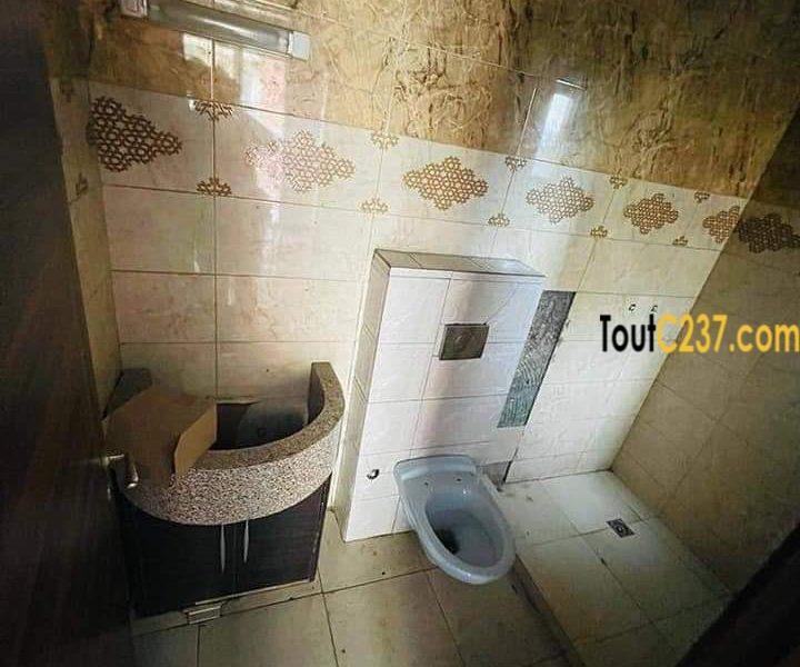 Appartement neuf à louer à Bonapriso