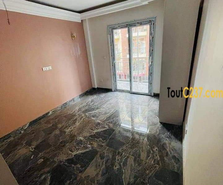 Appartement neuf à louer à Bonapriso