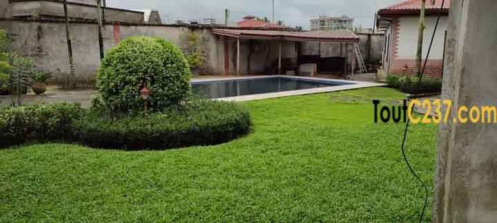 Duplex à louer à Bonapriso (Youpwe) Douala