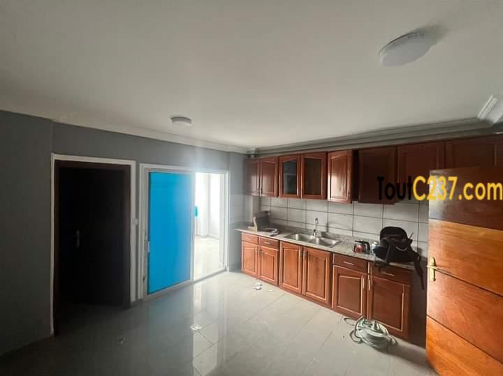Appartement neuf à louer à Bonamoussadi