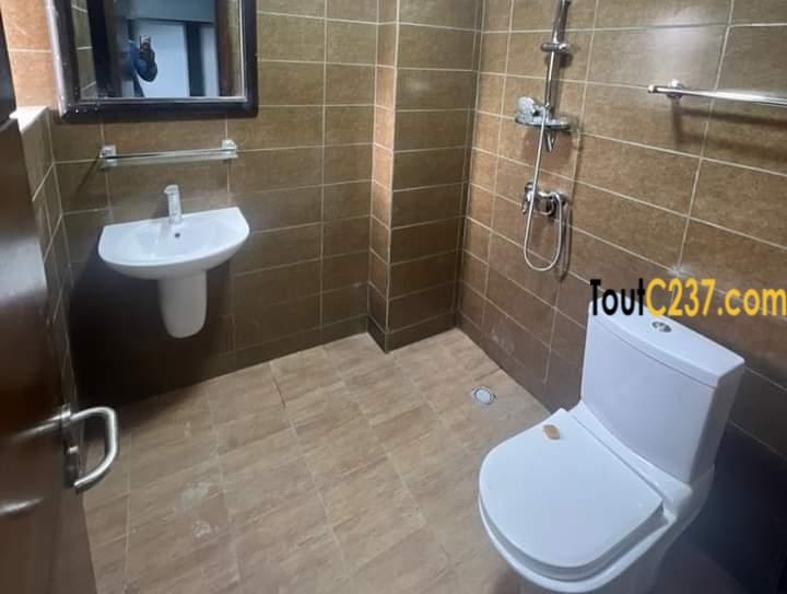 Appartement haut standing à louer à Bonamoussadi