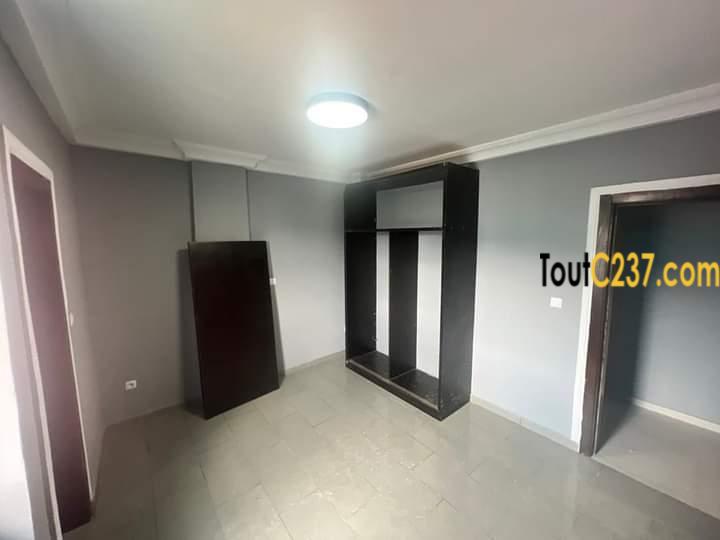 Appartement haut standing à louer à Bonamoussadi