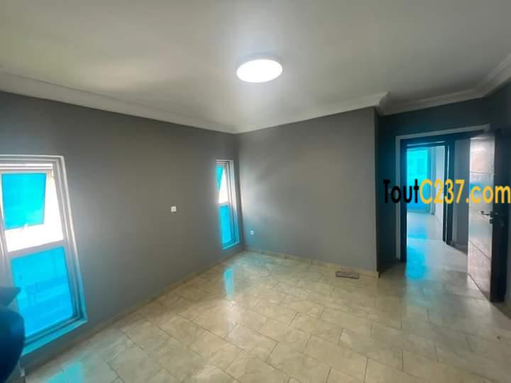 Appartement haut standing à louer à Bonamoussadi