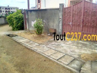 Immeuble à vendre Pk10 Douala