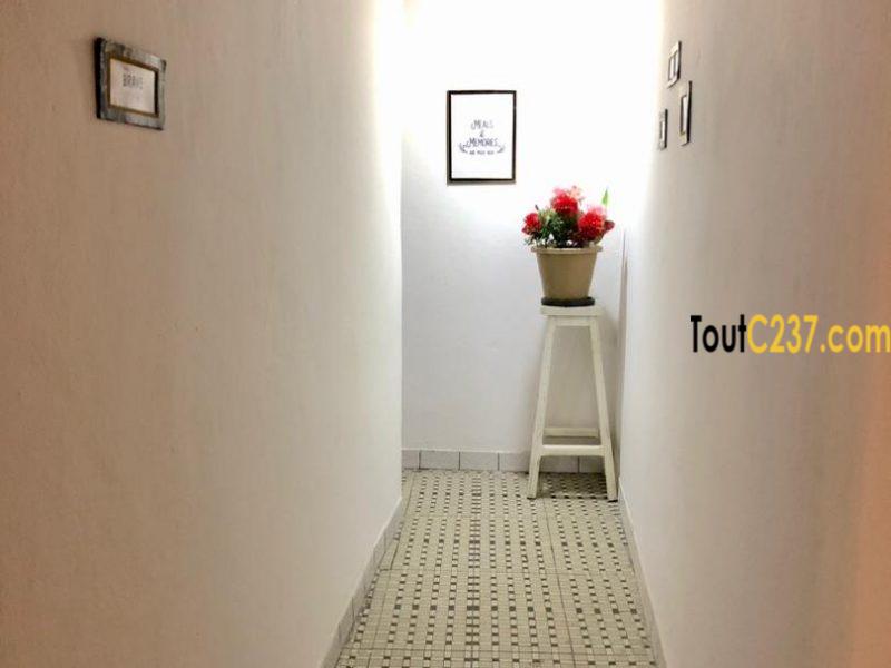 Appartement à louer à kotto Douala