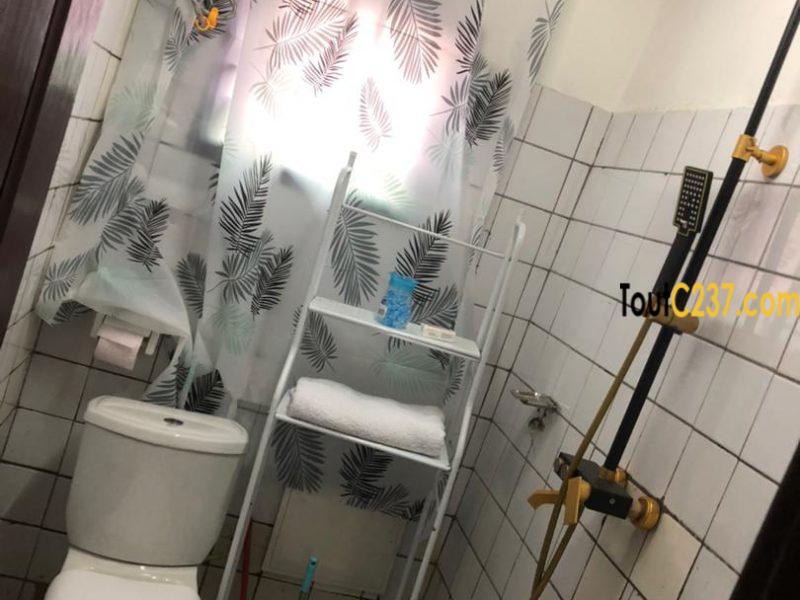 Appartement à louer à kotto Douala