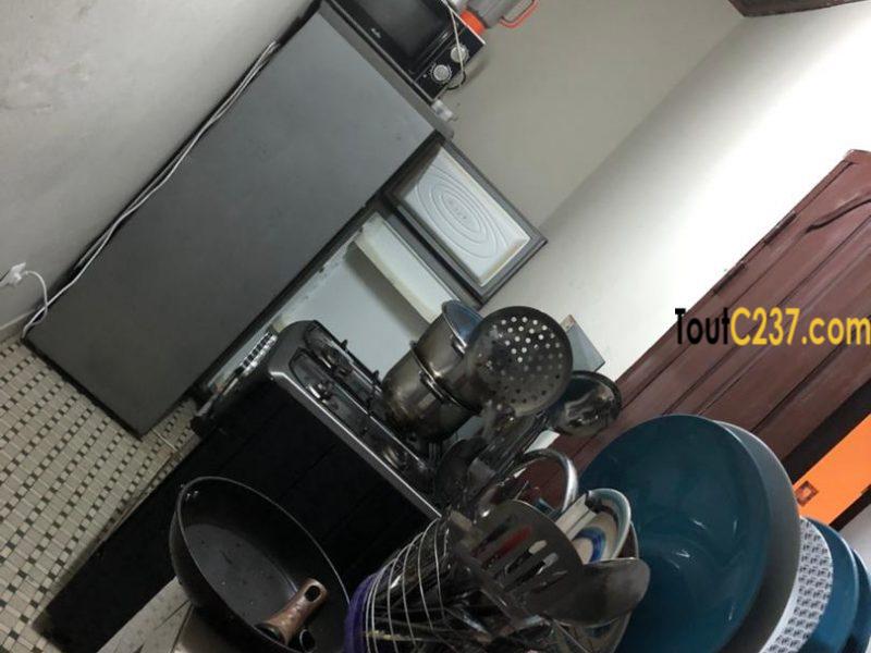 Appartement à louer à kotto Douala