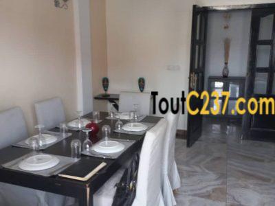 Appartement Vip à louer à Bonapriso