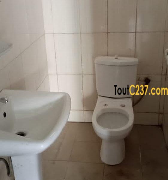 Appartement à louer à Bonamoussadi Douala