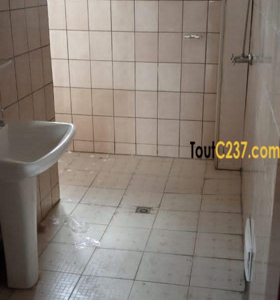 Appartement à louer à Bonamoussadi Douala