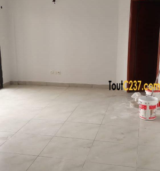 Appartement à louer à Bonamoussadi Douala