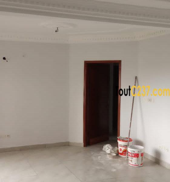 Appartement à louer à Bonamoussadi Douala
