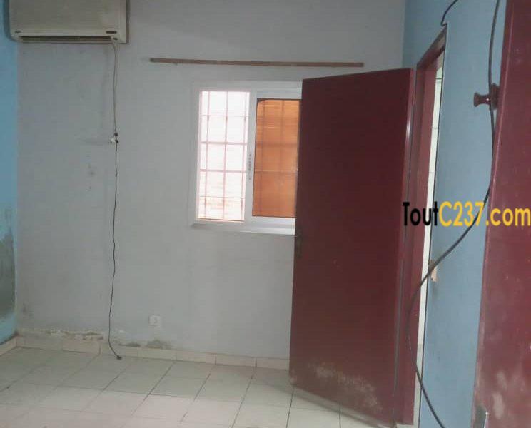 Maison en villa à louer à Kotto Douala