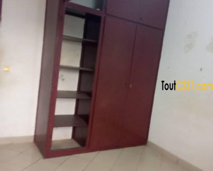 Maison en villa à louer à Kotto Douala