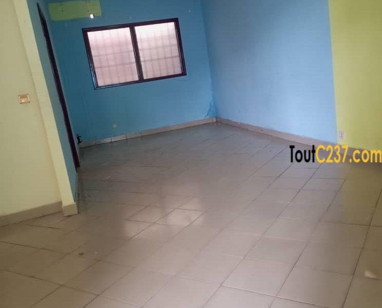 Maison en villa à louer à Kotto Douala