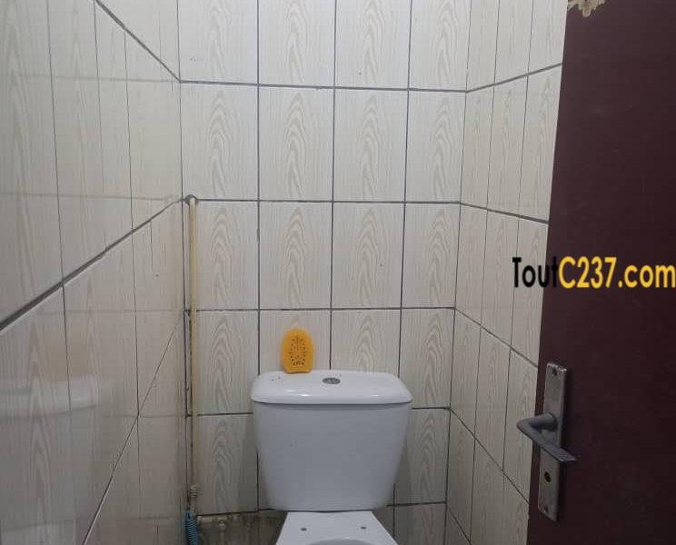 Maison en villa à louer à Kotto Douala