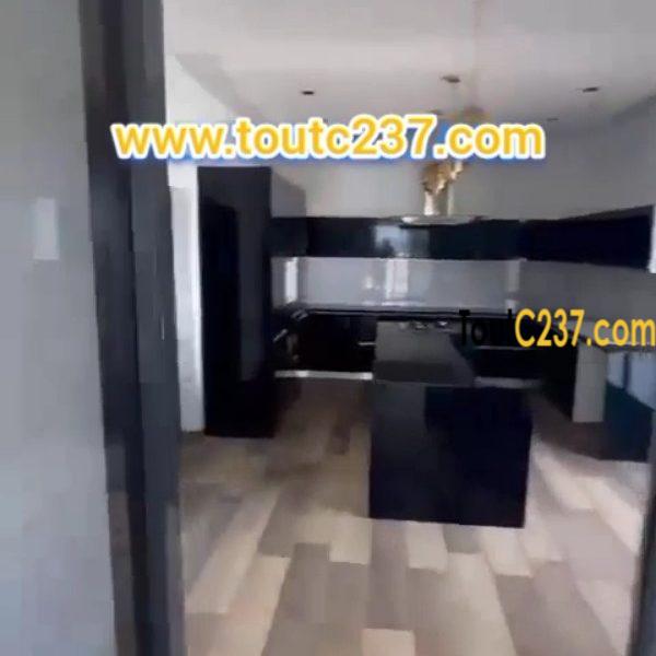 Appartement présidentiel louer a Bonapriso