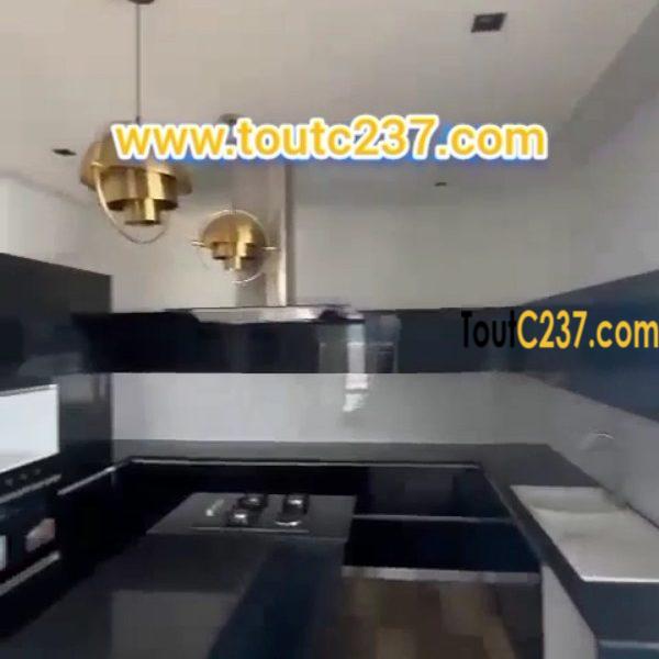 Appartement présidentiel louer a Bonapriso