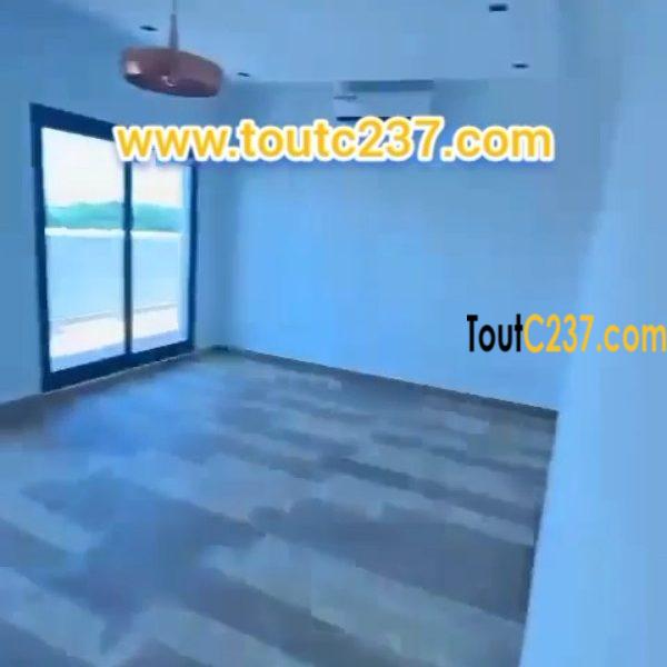 Appartement présidentiel louer a Bonapriso