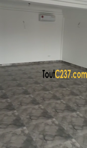 Appartement Vip à louer à Bonapriso