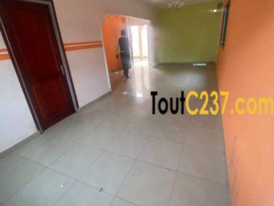 Maison en villa à louer Bonamoussadi