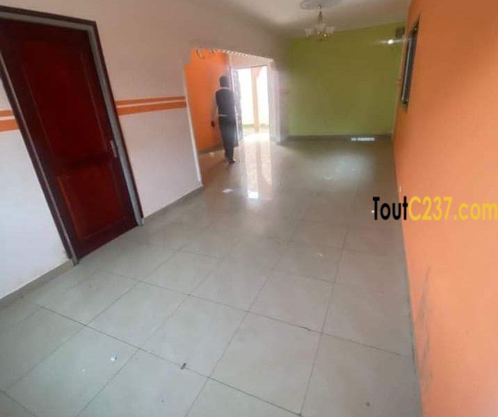 Maison en villa à louer Bonamoussadi