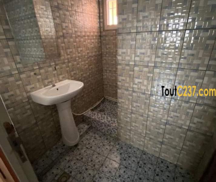 Maison en villa à louer Bonamoussadi
