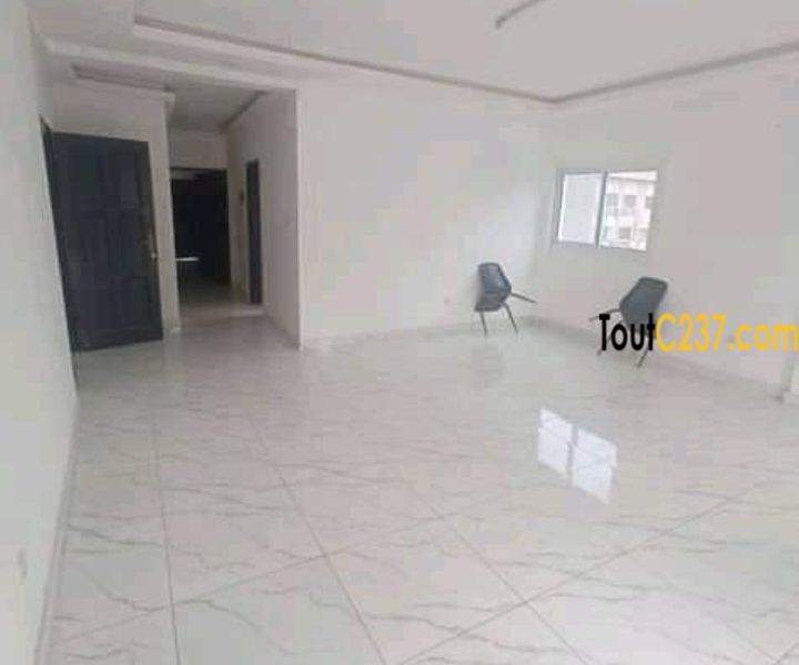 Appartement (bureau) à louer à Bonapriso