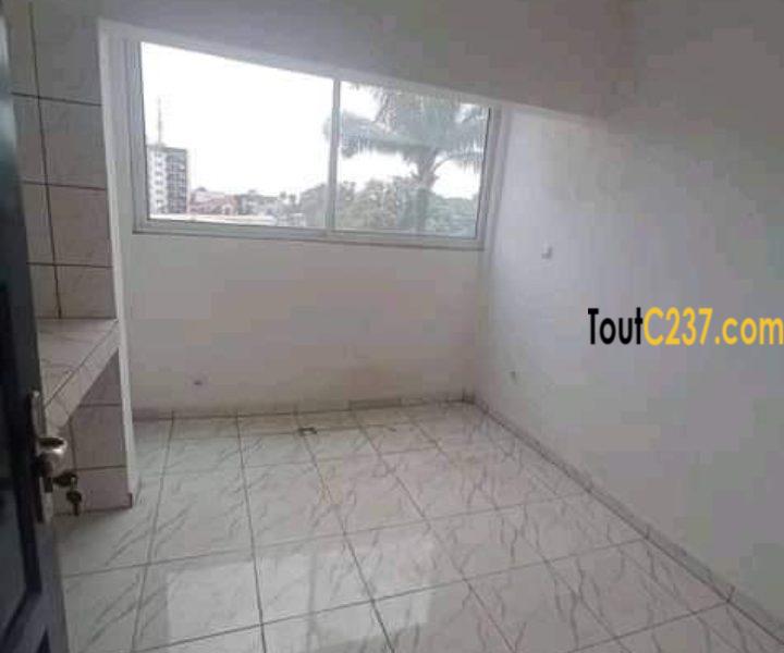 Appartement (bureau) à louer à Bonapriso