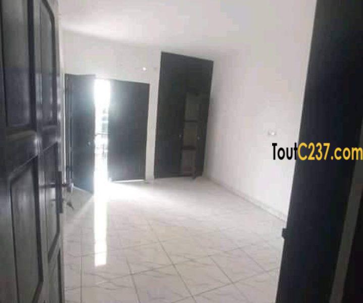 Appartement (bureau) à louer à Bonapriso