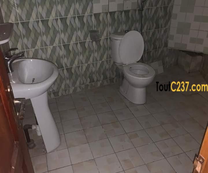 Appartement à louer à Bonamoussadi, Douala