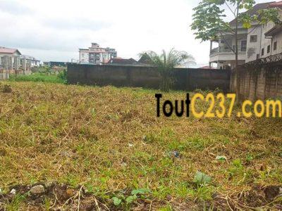 Terrain a vendre à Bonamoussadi Douala