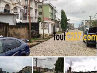 Terrain à vendre à Bonamoussadi Sable