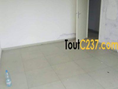 Appartement à louer à Bonanjo Douala
