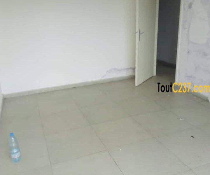 Appartement à louer à Bonanjo Douala