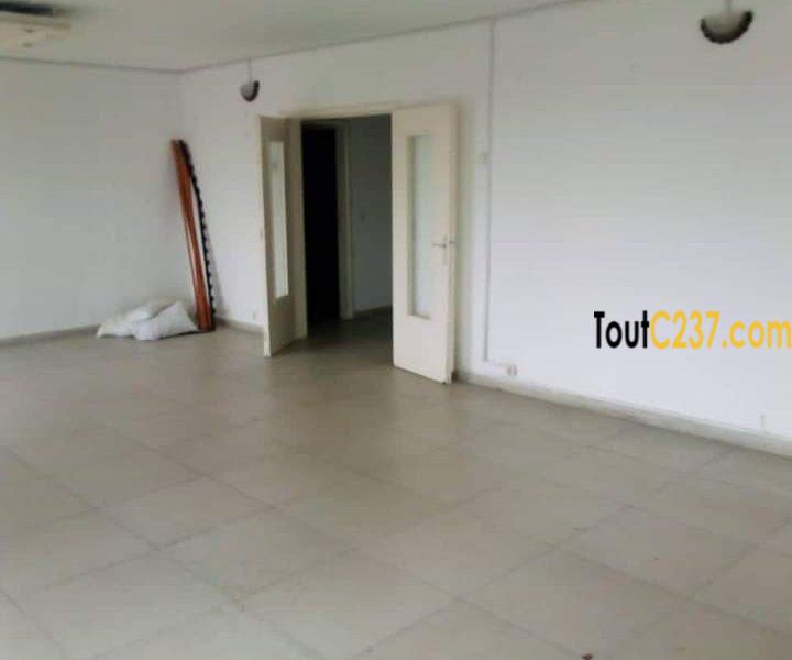 Appartement à louer à Bonanjo Douala