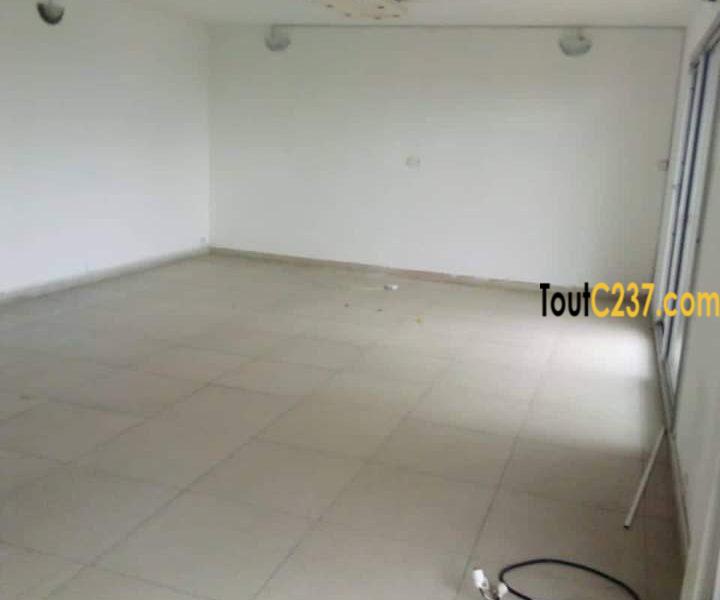 Appartement à louer à Bonanjo Douala