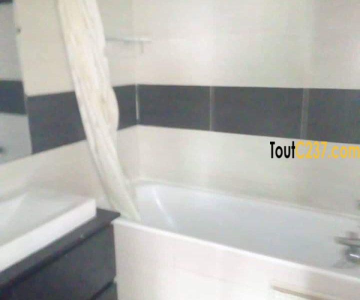Appartement à louer à Bonanjo Douala