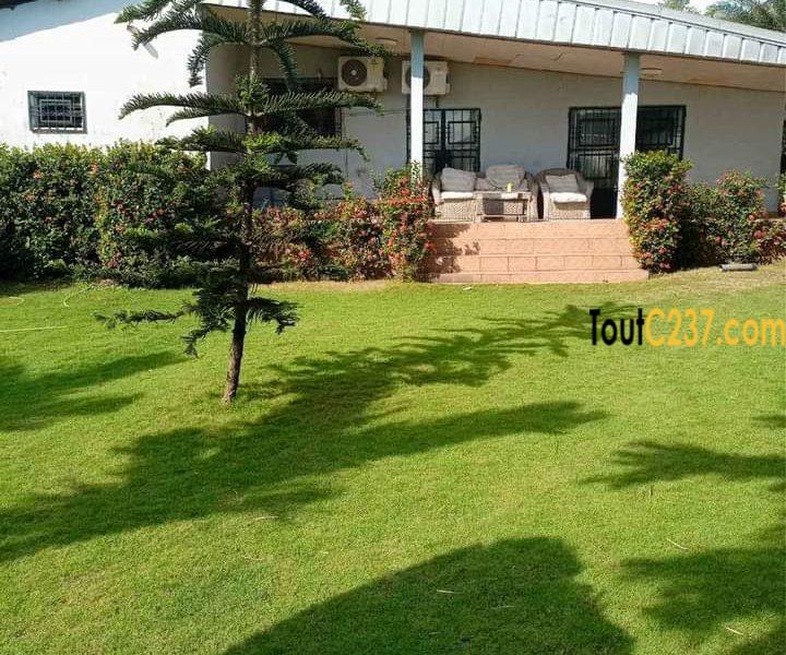 Maison en villa à louer a Deido