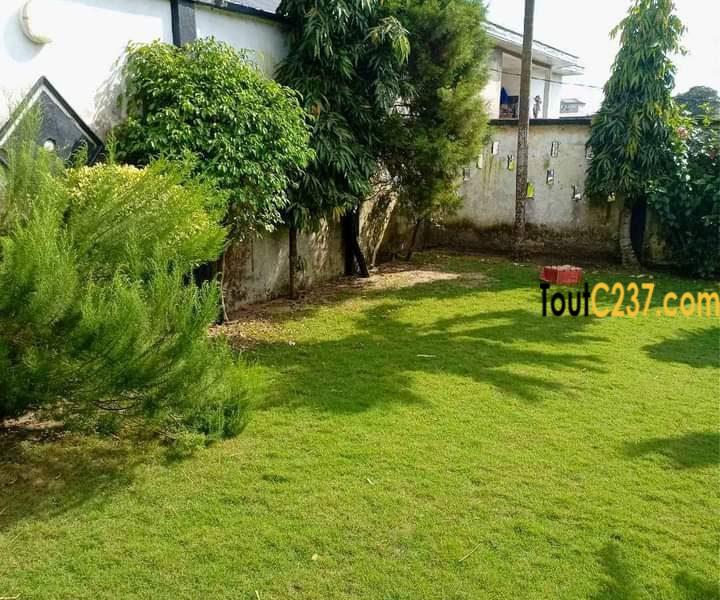 Maison en villa à louer a Deido
