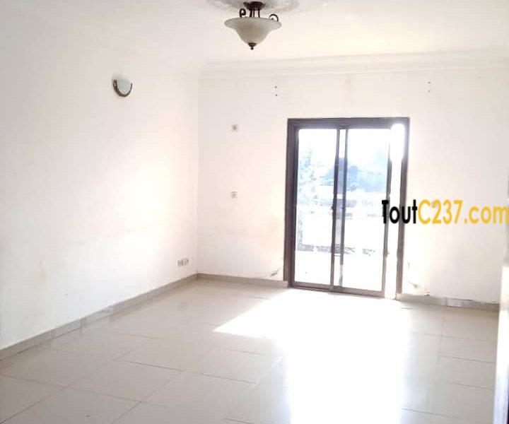 Appartement à louer à Kotto Douala